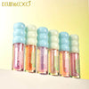 K&C-KC259404 Fruit Fiesta Lip Gloss : 2 DZ