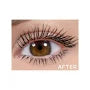 LAC-CBMS813 Fully AMPED Mascara : 3 PC
