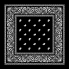 Classic Paisley Bandana Black Wholesale-Cosmeticholic