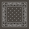 AAM-2668 : Classic Paisley Bandana 100% Cotton 1 DZ