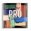 LAG-GES431 : Pro Artistry 16 Color Eyeshadow Palette 3 PC