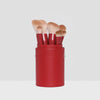 Beauty Creations Cherry Sweet Mini Travel 10pc Brush Set BC-XM26CSH – mini makeup brushes