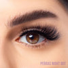 BC - LCLD Louis Castro Full Perra Potential Faux Mink Lashes : 5 Pair - CosmeticholicBeauty CreationsBCLCLDEyesBC - LCLD Louis Castro Full Perra Potential Faux Mink Lashes : 5 Pair