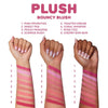 BC-PLBB Plush Bouncy Blush : 6 PC - CosmeticholicBeauty CreationsPLBB8FaceCherry Bon BonBC-PLBB Plush Bouncy Blush : 6 PC
