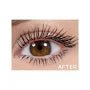 LAC - CBMS813 Fully AMPED Mascara : 3 PC - CosmeticholicL.A. COLORSLACCBMS813EyesLAC - CBMS813 Fully AMPED Mascara : 3 PC