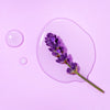 AM-SKEMBFM GT Eazy Breezy Facial Mist 'Lavender' : 3 PC