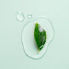 AM-SKEMBFM GT Eazy Breezy Facial Mist 'Green Tea' : 3 PC