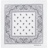 AAM - 2668 : Classic Paisley Bandana 100% Cotton 1 DZ - CosmeticholicCosmeticholicAAM2668-2fashion accessories02 WhiteClassic Paisley Bandana White Wholesale - Cosmeticholic
