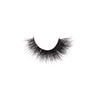 BC - ML : Faux Mink Lashes 36 Styles - 10 PC - CosmeticholicBeauty CreationsEyes13 - GoatBC - ML : Faux Mink Lashes 36 Styles - 10 PC