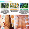 JC - ACF : Aquasurance Compact Foundation 12 SHADES - 3 PC - CosmeticholicJ CatACF-0FaceACF100 PorcelainACF : J Cat Aquasurance Compact Foundation Wholesale - Cosmeticholic